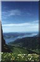 From Schafbergspitze