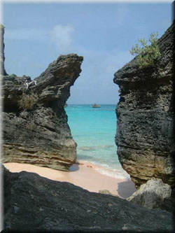 Jobson's Cove