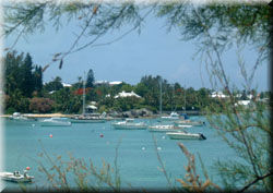 Mangrove Bay