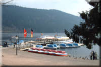 Titisee