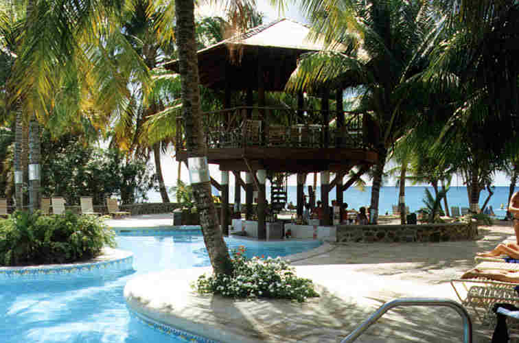 volleyball net graphic. with a volleyball net and