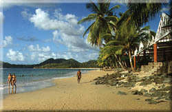 Beach at Rendezvous